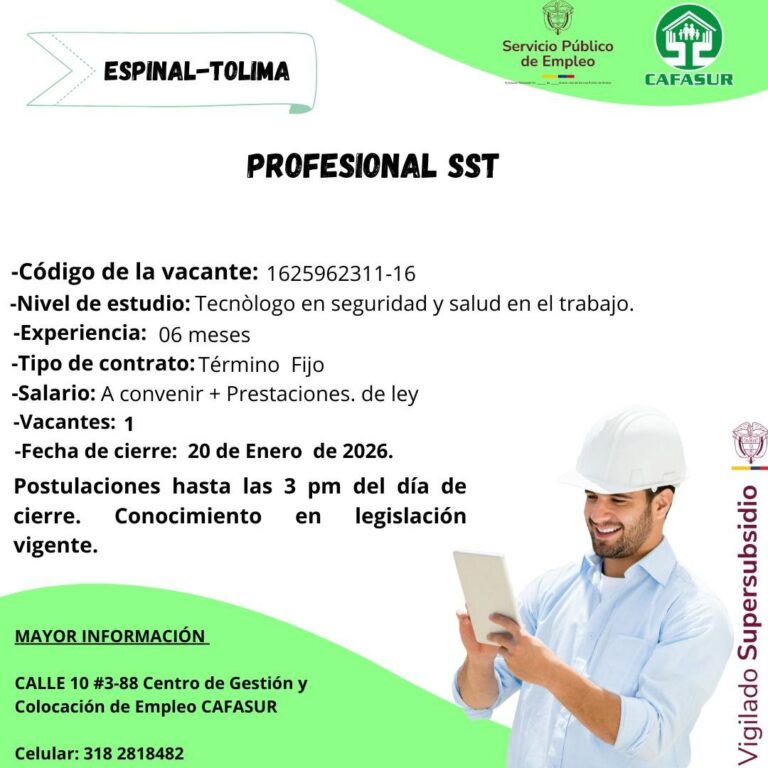 OFERTA LABORAL PROFESIONAL SST