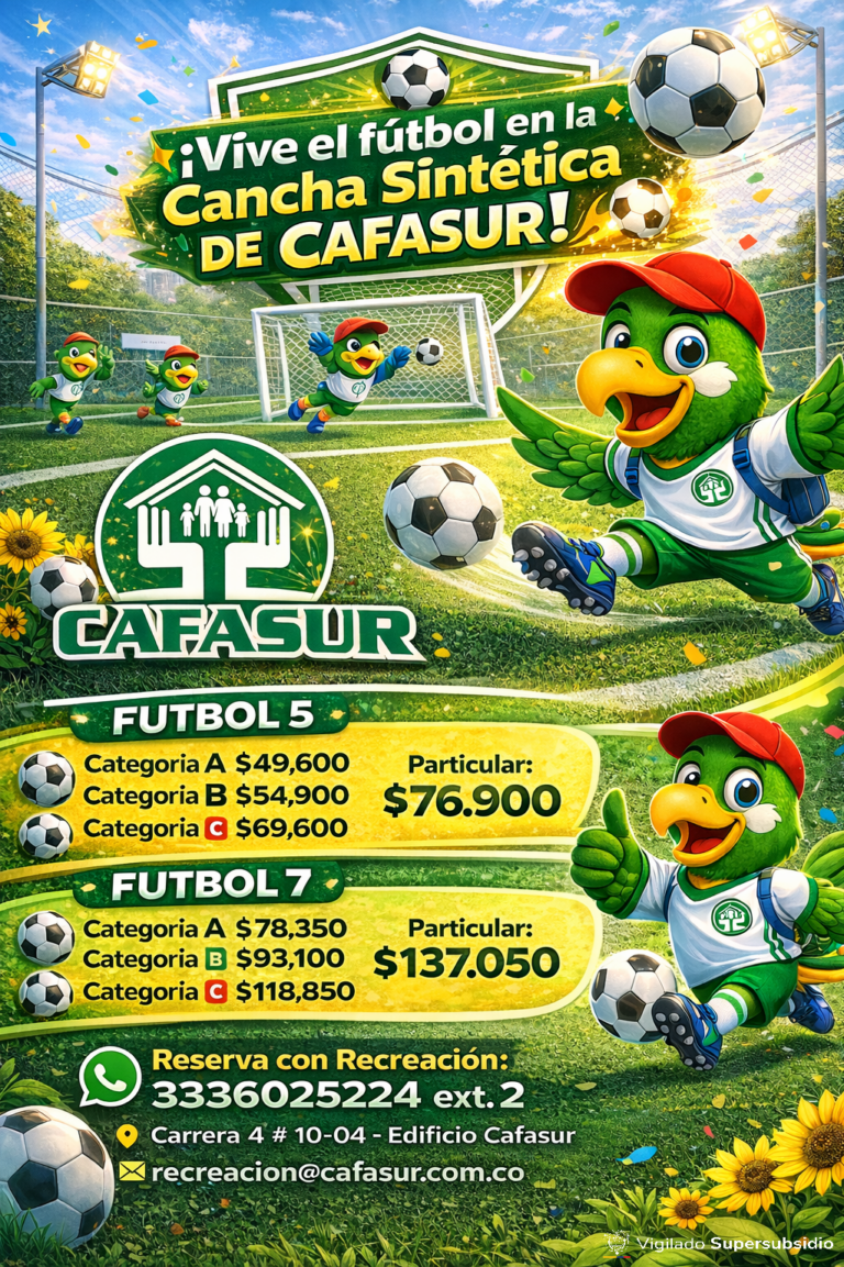 CANCHA SINTETICA CAFASUR