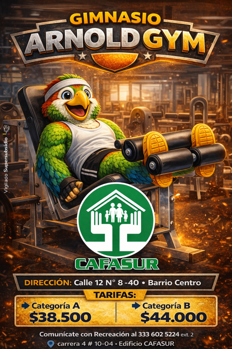GIMNASIO ARNOLDGYM